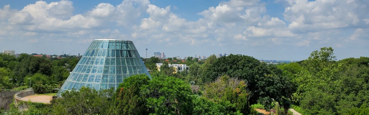 10 Best Things to Do in San Antonio, Texas for Couples