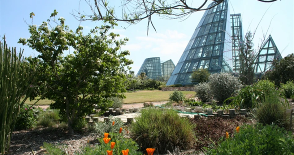 10 Best Attractions in San Antonio, Texas