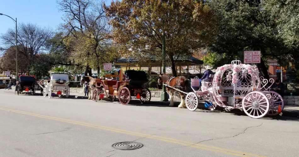 10 Best Things to Do in San Antonio, Texas for Couples